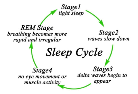 5 Stages of Sleep