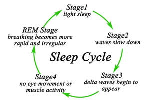 5 Stages of Sleep